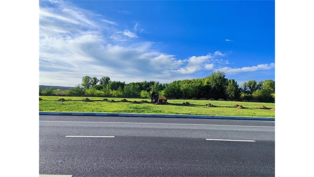 標(biāo)題：伊利現(xiàn)代智慧健康谷道路綠化建設(shè)項目
瀏覽次數(shù)：2376
發(fā)表時間：2023-11-07